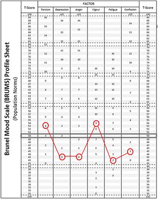 Mood profiles of amateur triathletes: Implications for mental health and performance